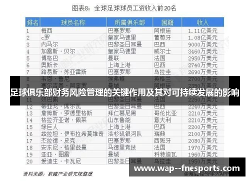 足球俱乐部财务风险管理的关键作用及其对可持续发展的影响