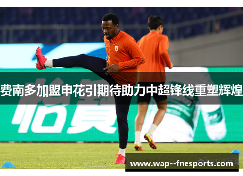 费南多加盟申花引期待助力中超锋线重塑辉煌 费南多加盟申花引期待助力中超锋线重塑辉煌