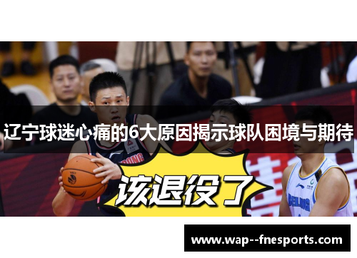 辽宁球迷心痛的6大原因揭示球队困境与期待