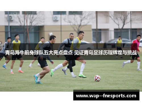 青岛海牛前身球队五大亮点盘点 见证青岛足球历程辉煌与挑战