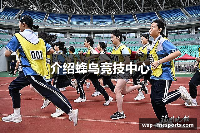 介绍蜂鸟竞技中心